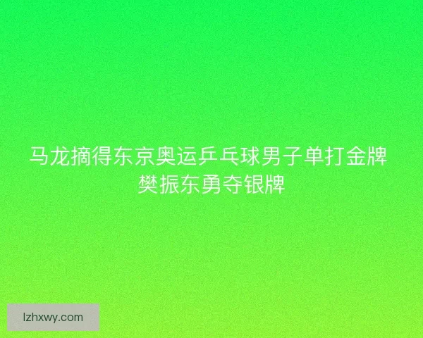 马龙摘得东京奥运乒乓球男子单打金牌 樊振东勇夺银牌