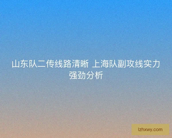 山东队二传线路清晰 上海队副攻线实力强劲分析